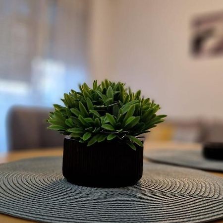 Apartment Luki Novi Sad Eksteriør bilde